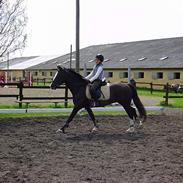 Connemara Skatholmsbluethunder