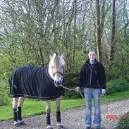 Fjordhest Mastrups Chap * R.I.P *