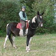 Pinto Etta Place (solgt) :'(