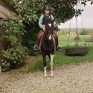 Pinto Etta Place (solgt) :'(