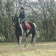 Pinto Etta Place (solgt) :'(