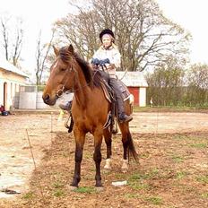 Anden særlig race Tanja