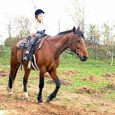 Anden særlig race Tanja