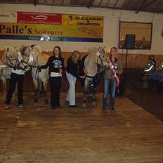 Fjordhest Laban - Aflivet.