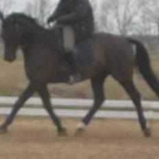 Anden særlig race Cæsar