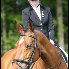 Dansk Varmblod <3 Simone Landlyst †07