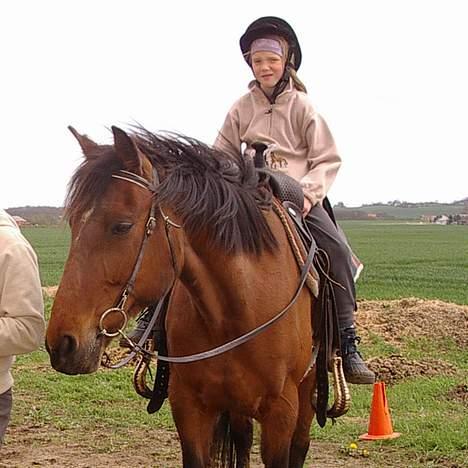 Anden særlig race Tanja billede 1
