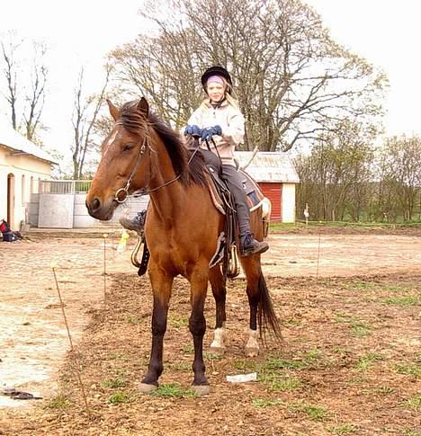Anden særlig race Tanja billede 2