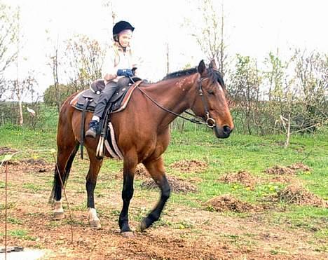 Anden særlig race Tanja billede 3