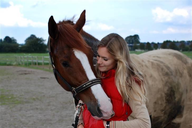 Dansk Varmblod Tjørnely's Cometessa <3 - Cometessa vil altid være min bedste ven. <3 Hun er så dejlig - se hvor hun nuller mig med mulen. Taget af Tine Clausen d. 20/9-2008. billede 13