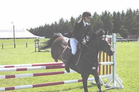 Anden særlig race Jussie *solgt* billede 16