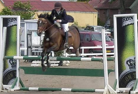 Anden særlig race Jussie *solgt* - La i boller billede 17