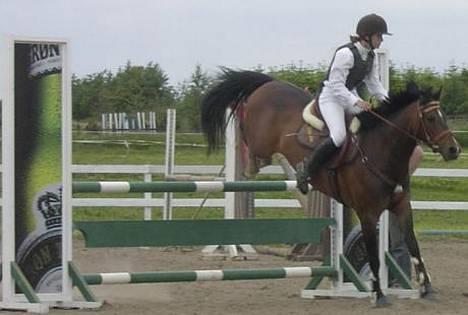 Anden særlig race Jussie *solgt* - Mb i boller billede 18