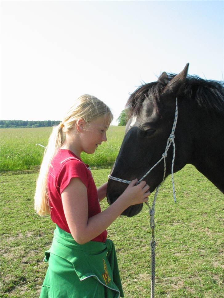 Irsk Sportspony Ardfield  Woodie - solgt  - Woodie med sin nye ejer Therese billede 15