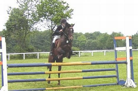 Anden særlig race Jussie *solgt* - Mb i Dalumgård billede 20