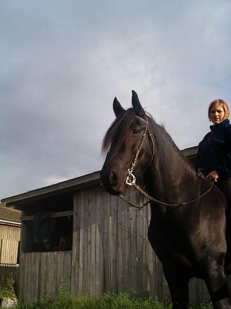 Frieser Dark fan der Wagner *DØD* billede 16