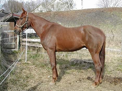 Traver Mighty spin m(død) - hele mighty..tatt 11/5 billede 12