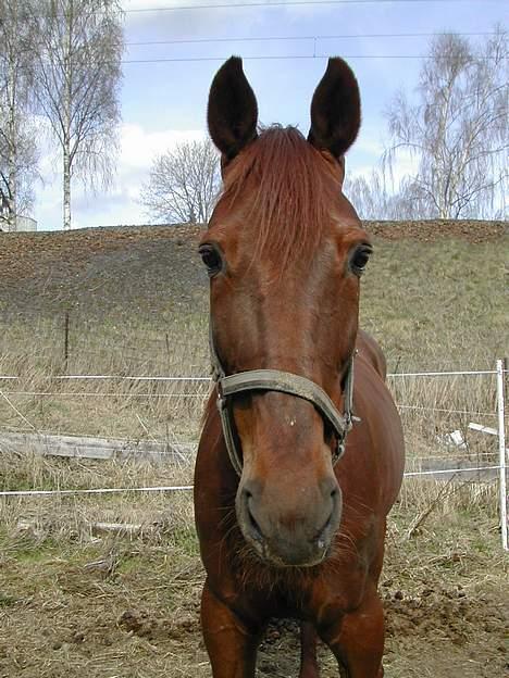 Traver Mighty spin m(død) - er jeg ikke søt?? billede 13