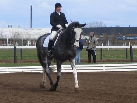 Dansk Varmblod Juncher (R.I.P.) - Distriksstævne i Grindsted billede 5