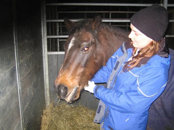 Anden særlig race Mitsi - Sidste gang jeg ser Mitsi inden hun blev aflivet. Hun var så sød <3 billede 2