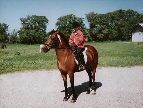 Anden særlig race Mitsi - Det første stævne jeg var til nogensinde i 94, vandt en 1 plads =) billede 4