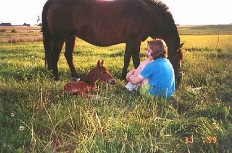 Anden særlig race Mitsi - Mitsi, mig og hendes føl Daisy i 1999. billede 5