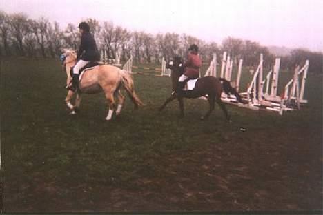 Anden særlig race Mitsi - Udenbys stævne i Nibe, vandt en 3 plads i spring. billede 8