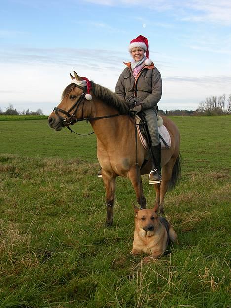 Anden særlig race Stella Elsk' dig <solgt> - Jule-billede 2005 Stella, Daisy (min hund) og jeg ! TRIO <33 billede 18