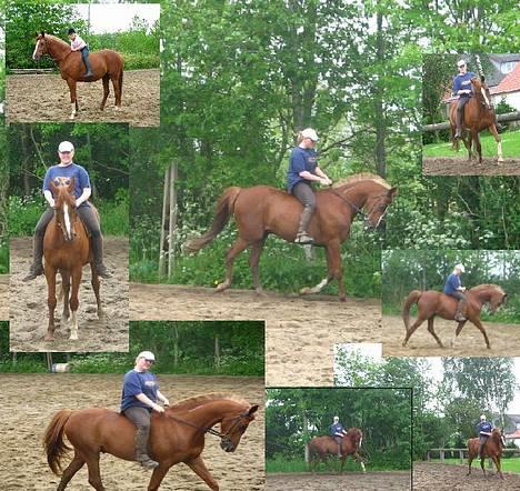 Traver Simon Langkjær - nyt mix billede 14 juli 2005 billede 19