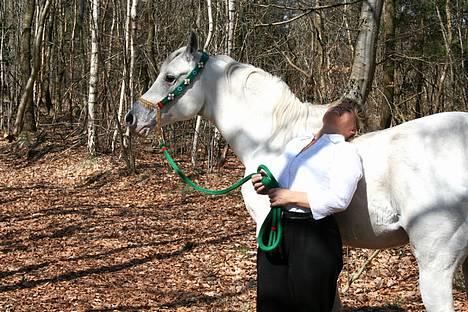 Arabisk fuldblod (OX) Basta R.I.P. blev 27½ år - Basta & Marianne på Bastas 26 års fødselsdag 24 april 2006 "Soul friends" billede 8