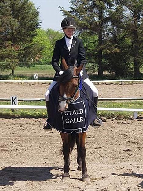 DSP Sir Oliver - jaaa.. vi vandt cuppen for ponyer.. se vores flotte tæppe billede 1