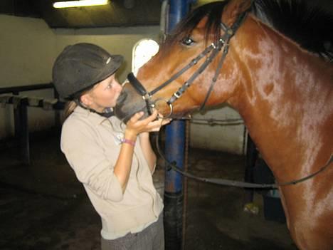 DSP Sir Oliver - han får lige et pyys på mulen billede 2