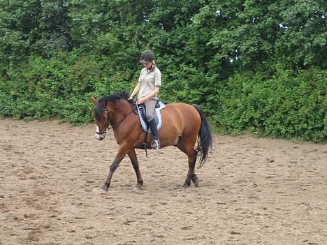 DSP Sir Oliver billede 4