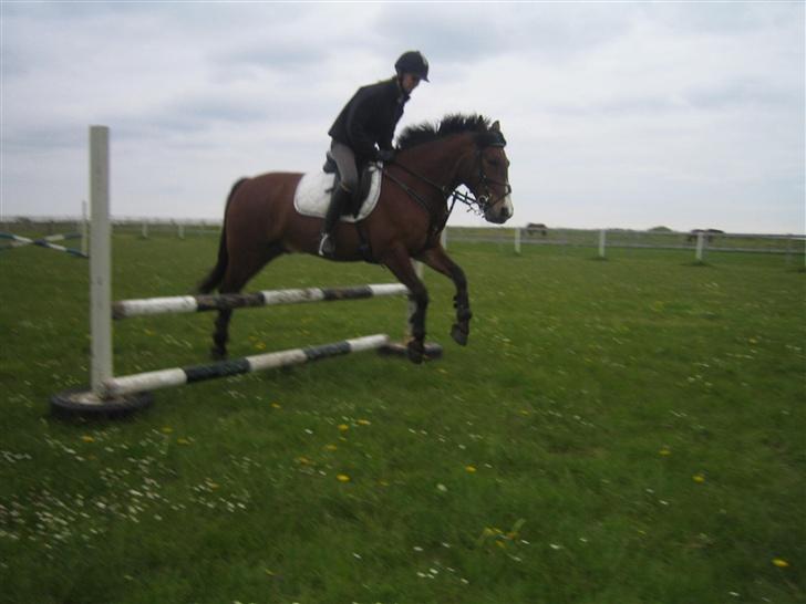 DSP Sir Oliver - det ser lidt komisk ud billede 7