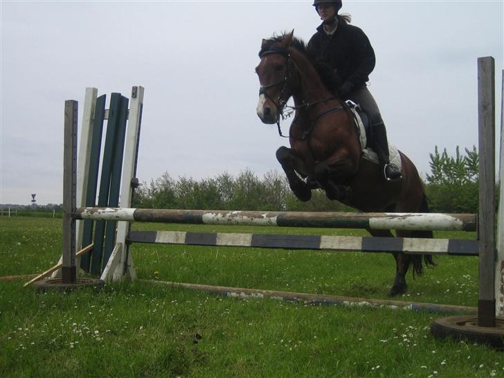 DSP Sir Oliver - vi kan også springe billede 9