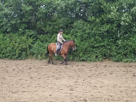 DSP Sir Oliver - her er vi lige på langsiden billede 11