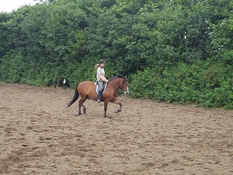 DSP Sir Oliver - her kommer vi lige skrot igennem billede 13