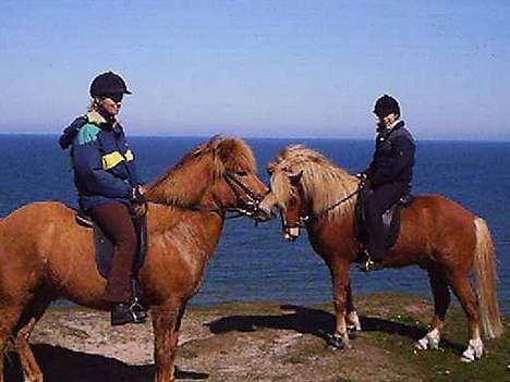 Islænder Vægir Fra Lønne - Turen til Slettestrand. Andri til venstre og Vægir til højre. Taget d. 15/5-05 Desværre med et ekstrem dårligt kamera.  billede 17