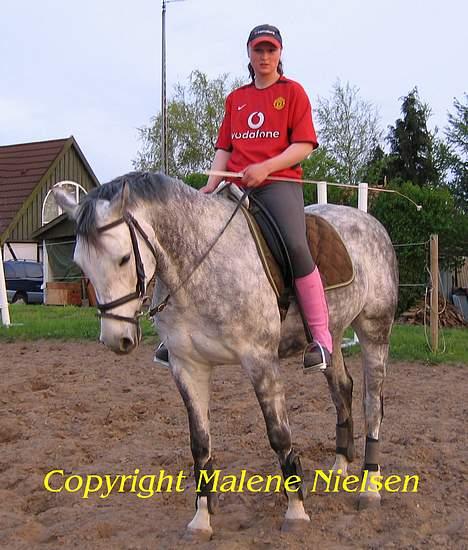 Holstener Waltzing Mathilda (Smill) - Smukke Smilla og jeg...nyt billede fra 15. Maj 2005 billede 12