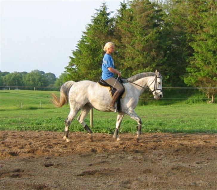 Holstener Waltzing Mathilda (Smill) - 28. Maj 2007 billede 16