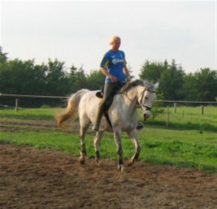 Holstener Waltzing Mathilda (Smill) - 28. Maj 2007 billede 17