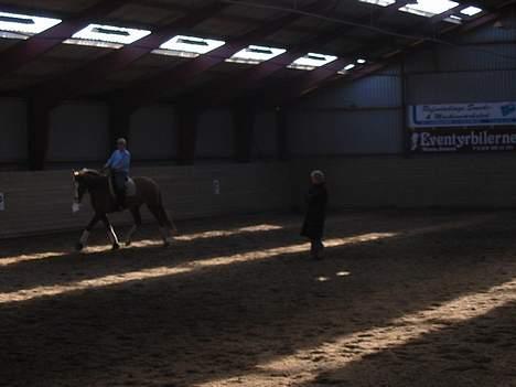 Dansk Varmblod Østersøens Termo R.I.P - Rider kursus ved Lone Jørgensen, 19-20 marts 2005.  billede 13