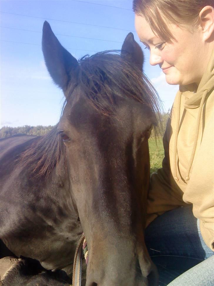 Oldenborg Junker - 5/10 09 Sidder hos en solslikkende Junker billede 11