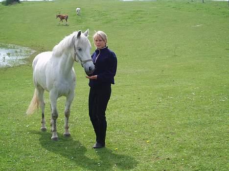 Connemara Conall (SOLGT) - Conall og jeg..:) Best Friends billede 5