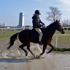 Traver Kashmir W ( Gl. Part )