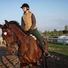 Dansk Varmblod Jardine *gammel part*