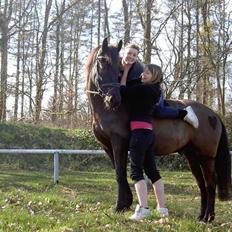 Anden særlig race Kong Louie  SOLGT R.I.P !