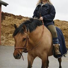 Anden særlig race Freja