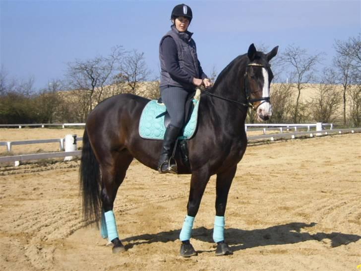 Anden særlig race Dana ( R.I.P. ) billede 10