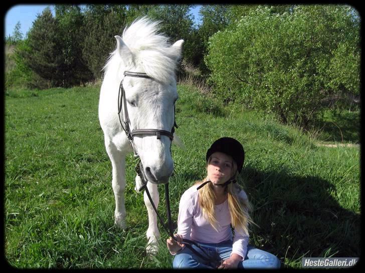 Anden særlig race Nalle<3  - #16 jeg elsker dig!<3 taget af isabella billede 16